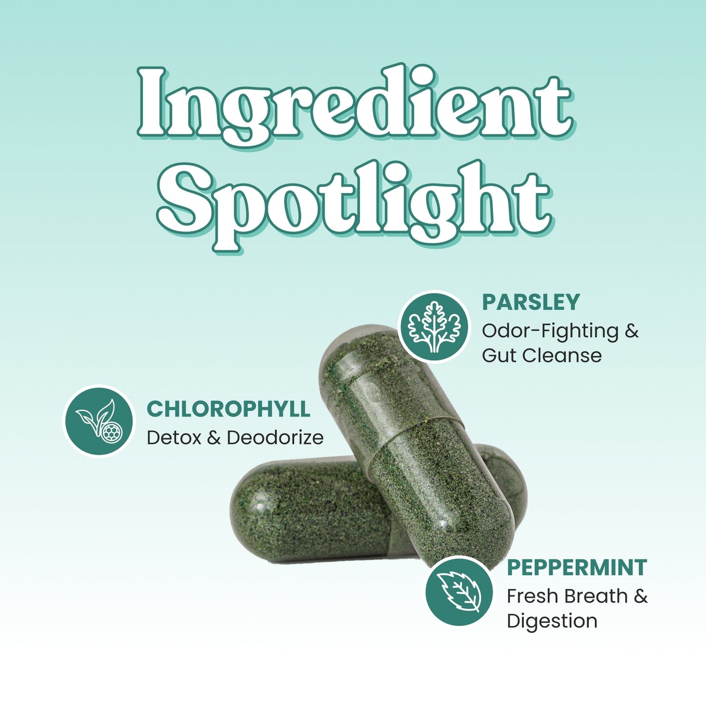 Her Fantasy Box | Body Magic Chlorophyll Capsules – Vegan Detox & Digestion Support, Gut & Skin Health, Natural Energy Booster – 60 Capsules (400 mg)- 2 Pack